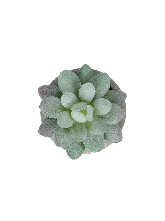 Globostar Artificial Garden Succulent Sedeveria Potted Plant 21016 Decorative Plant Sedeveria Φ7 X H8cm