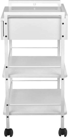 Giovanni Hair Salon Maintenance Cart