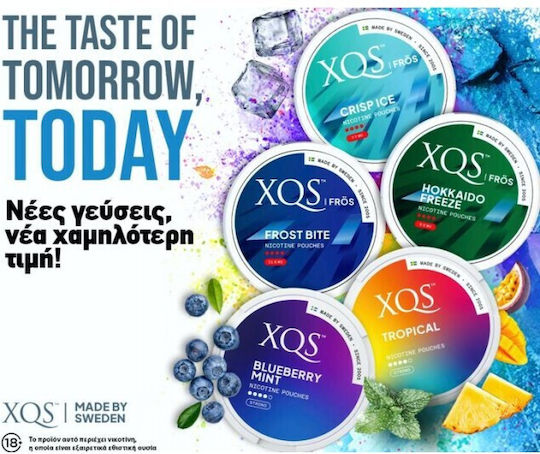 XQS Fros Pouches Nicotine 11.6mg