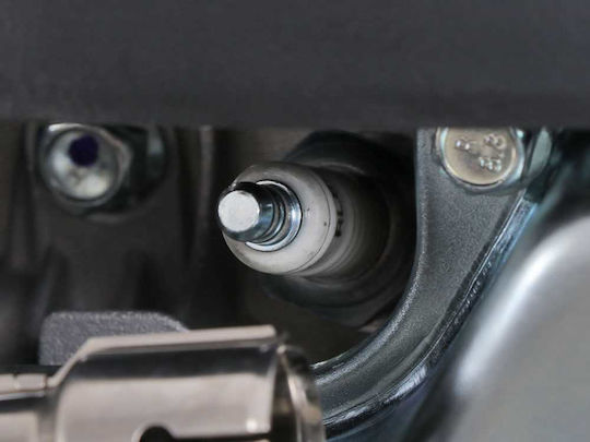 Weibang Καταστροφέας Βενζίνης 6.5hp