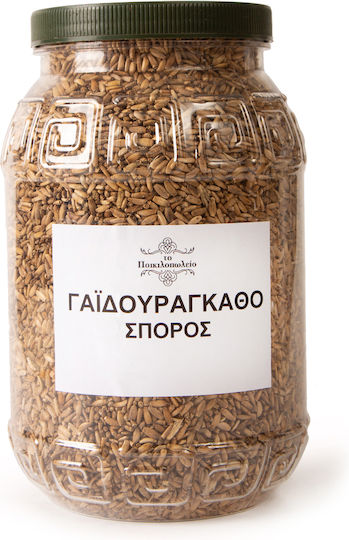 Γαϊδουράγκαθο Σπόροι Ή Σύλιβο Μαριανό 250 Γρ