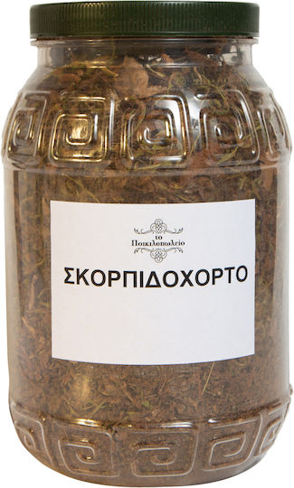 Σκορπιδόχορτο 100 Γρ