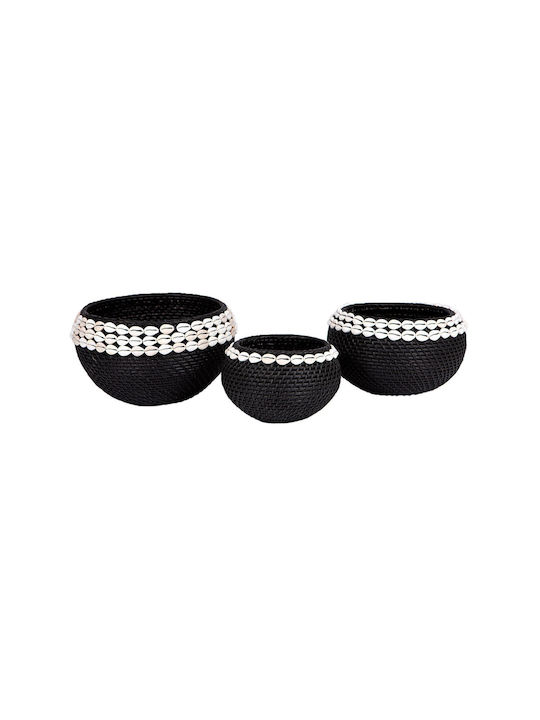 Supergreens Set dekorative Körbe Rattan Black Mit Muscheln 3Stück