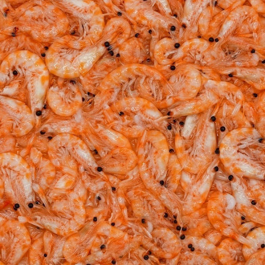 Stoffels Krill Superba 100g