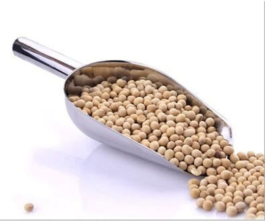 Viosarp Metallic Food Scoop