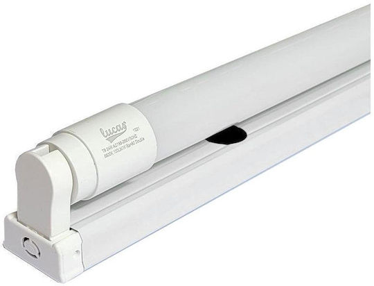 Lucas Σκαφάκι Απλό I 150cm Universal T8150ma