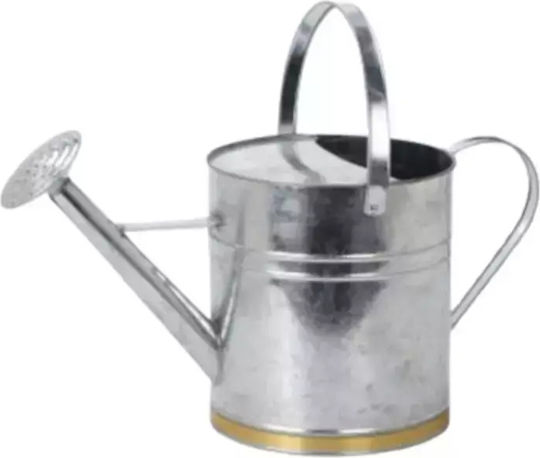 Metal Watering Can 5lt