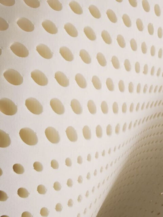 Platinum Μαξιλάρι Ύπνου Memory Foam Ανατομικό 50x70x12cm