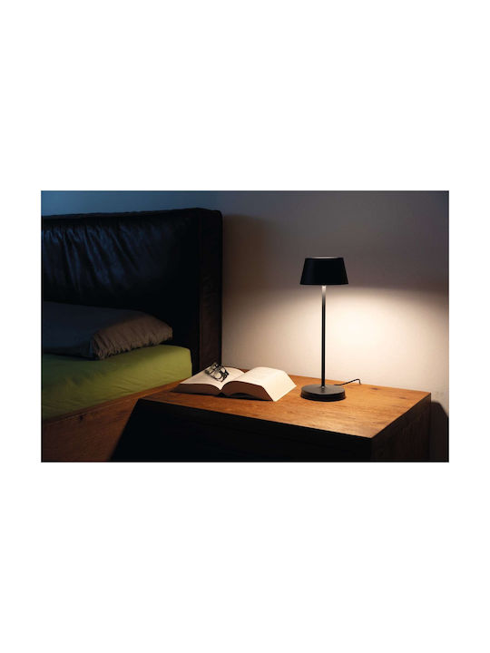 Maul Dekorative Lampe mit Fassung für E27 Lampe Gray