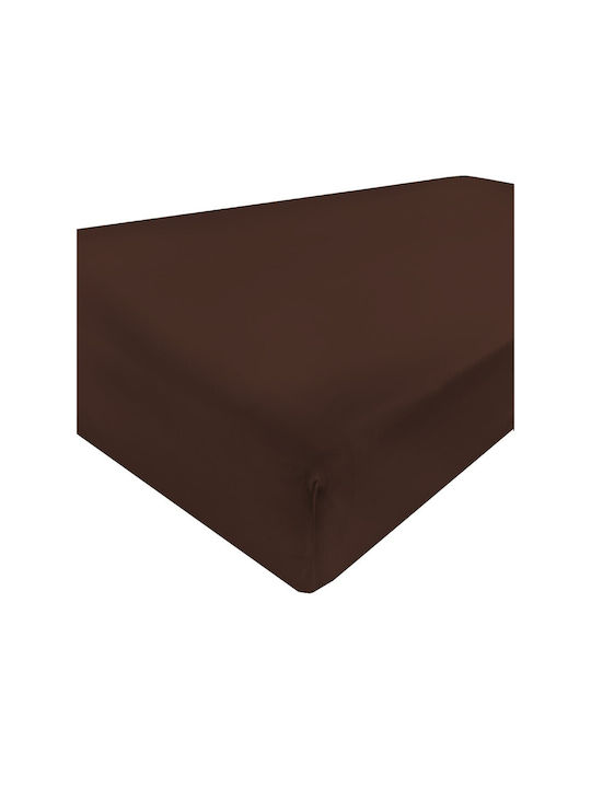 Matex Sheet Single with Elastic Band Cotton Brown 140x200cm