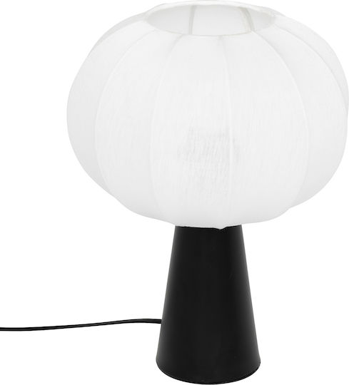 Lamp Lamp