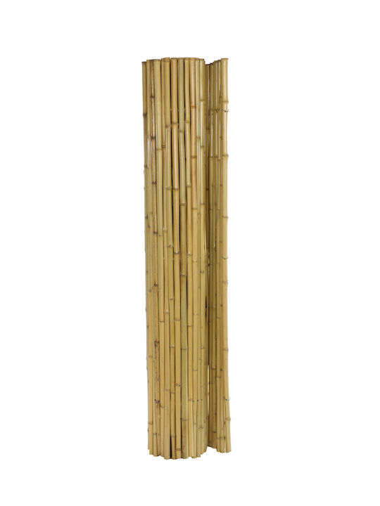 Jardi Bamboo Fencing with Whole Reed Bamboo 2x2.5m