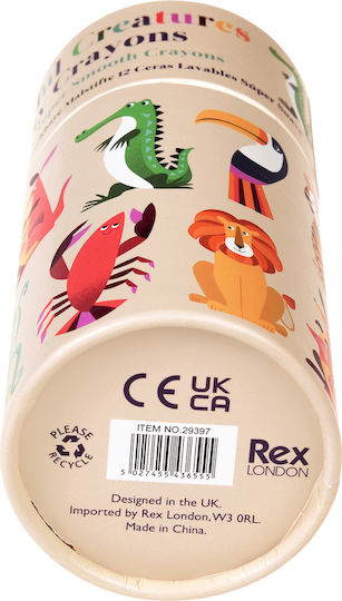 Rex London Μαρκαδόροι Ζωγραφικής Χονδροί Σετ 12 χρώματα