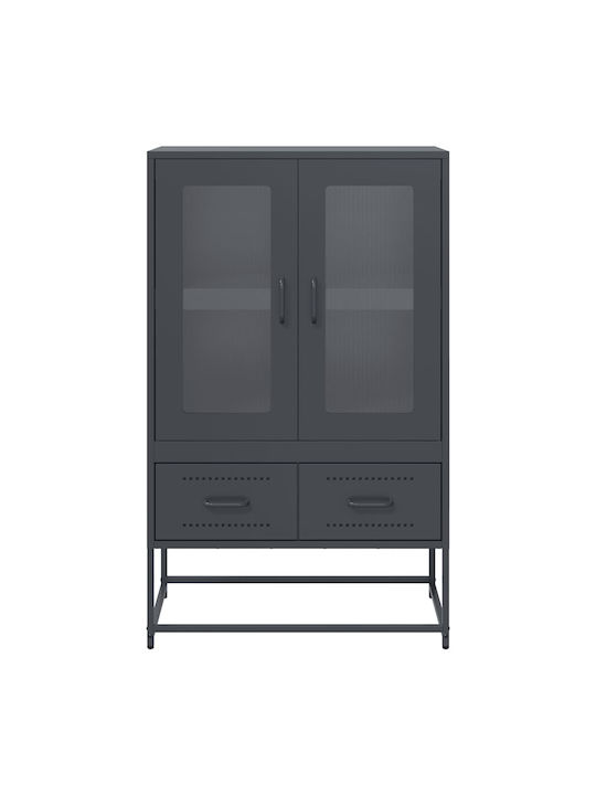 Floor-standing Living Room Display Cabinet made of Metal with Glass Anthracite 68x39x111.5cm