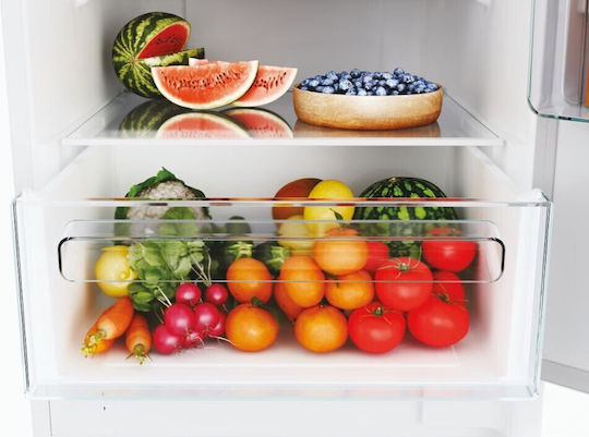 Candy Built-in Fridge-Freezer 248lt NoFrost H177.2xW54.5xD54cm White CBT3518EW