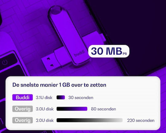 Buddi 256GB USB 3.1 Stick Γκρι
