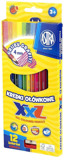 Astra Farbstift-Set mit dicker Spitze 12Stück Packung von 1 Verpackungen