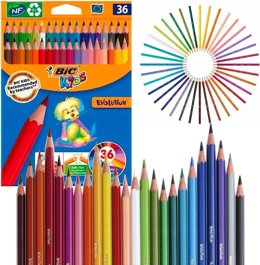 BIC Kids Evolution Ecolutions Set de creioane colorate în cutie 36buc Pachet de 1 ambalaje