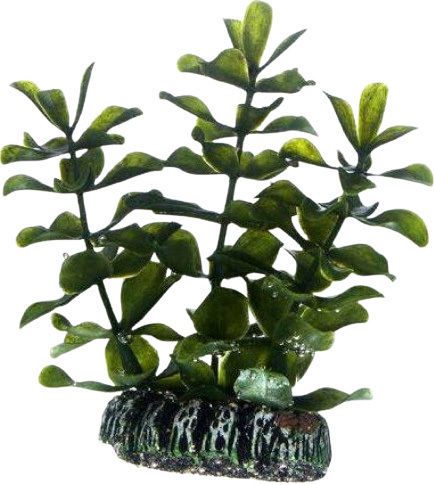 Hobby Bacopa 13 Cm