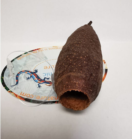 Ceramic Nature Savu Pods
