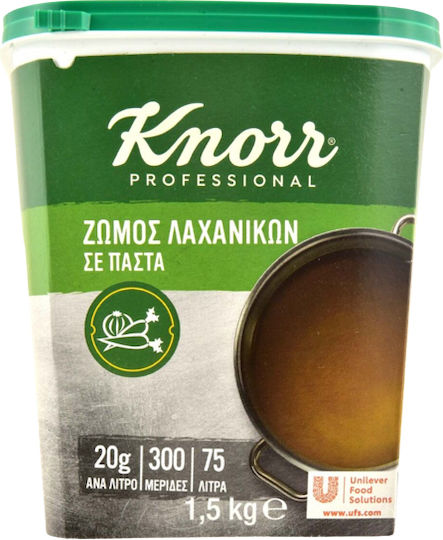 Unilever Ζωμός Λαχανικών 1500gr