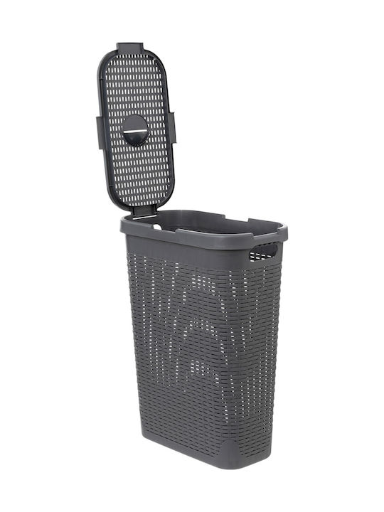 Atmosphera Laundry Basket Plastic 40l with Lid 26.5x46.4x60.5cm Gray