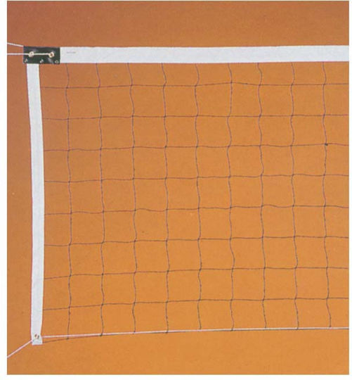AMILA Volley Net with 2.0mm Thread