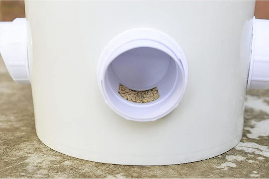 Vogelfütterung in Beige Farbe