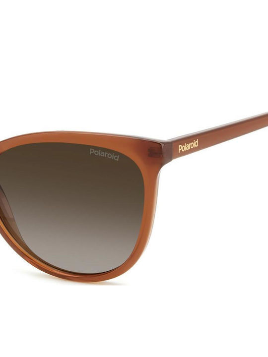 Polaroid Woman Sunglasses with Brown Horn-Rimmed Frame and Brown Polarized Lens