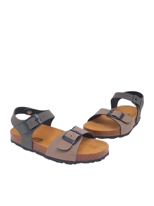 Plakton