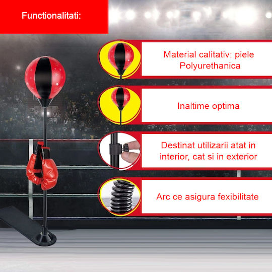 Salamandra Jucărie Box