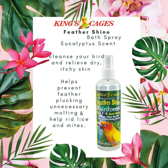 Rainforest Spray Μπάνιου Πτηνών Ευκάλυπτος 240ml