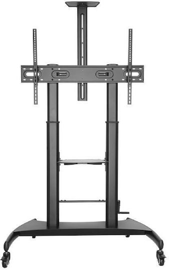 Gembird TVS-100T-02 Βάση Τηλεόρασης Δαπέδου έως 100"