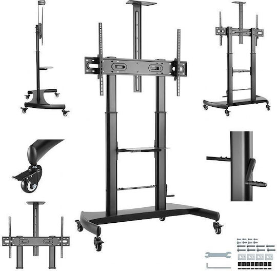 Gembird TVS-100T-02 Βάση Τηλεόρασης Δαπέδου έως 100"