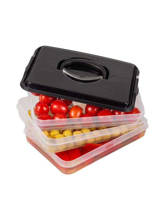 Vilde Plastic Lunch Box Transparent 23x15.5cm
