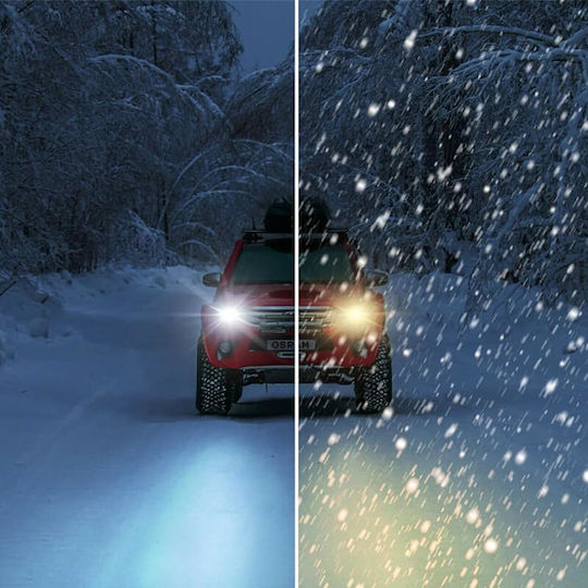 Osram Λάμπες Αυτοκινήτου & Μοτοσυκλέτας Ledriving HL Allseason H4 Canbus LED 6000K Ψυχρό Λευκό 12V 45W 2τμχ