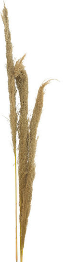Τεχνητό Διακοσμητικό Κλαδί Pampas grass 3τμχ Inart Τεχνητό Διακοσμητικό Κλαδί Pampas grass 3τμχ Inart
