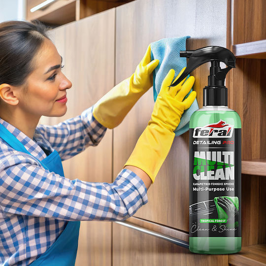 Feral Detailing Pro Σπρέι Καθαρισμού για Ταμπλό Αυτοκινήτου 750ml