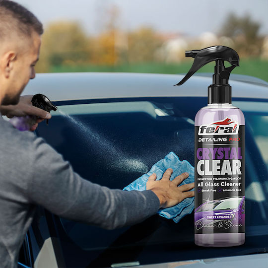 Feral Detailing Pro Καθαριστικό Σπρέι Τζαμιών Αυτοκινήτου 750ml