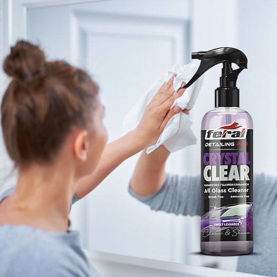 Feral Detailing Pro Καθαριστικό Σπρέι Τζαμιών Αυτοκινήτου 750ml
