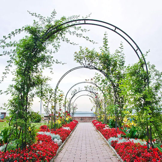 Metal Arch Curved Pergola Roses Decoration Wedding Baptisms Garden Anniversaries Parties Water-Resistant 240 X 140 X 38 Cm