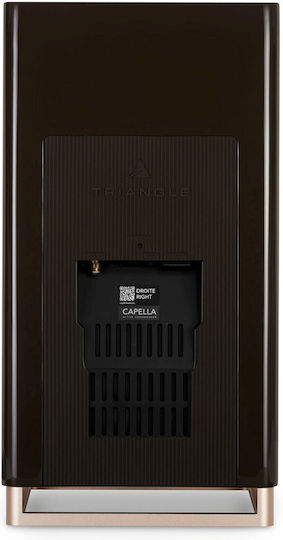 Triangle Capella Самоусилващи се тонколони 2 Брой шофьори 100W (Двойка) Кафяв