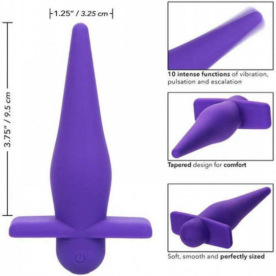 Calexotics High Intensity Πρωκτική Σφήνα Μωβ