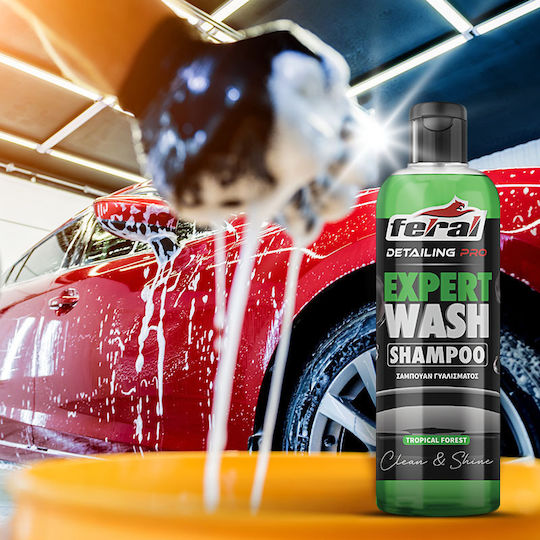 Feral Detailing Pro Șampon Auto 750ml
