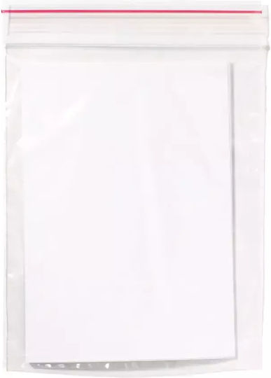 Zipper Packaging Bag Transparent 22x32cm Hole 100pcs