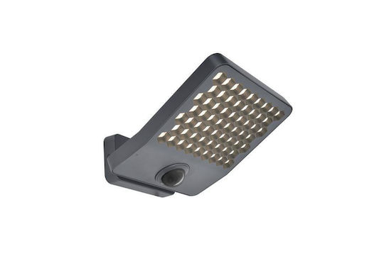 Lutec Wall-Mounted Outdoor Light Lutec Wall-Mounted Outdoor Light