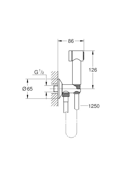 Grohe Sena Trigger Spray 35 Επιτοίχιο Σετ Μπιντέ Ασημί
