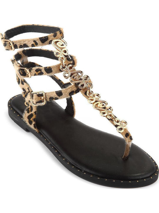 Fshoes