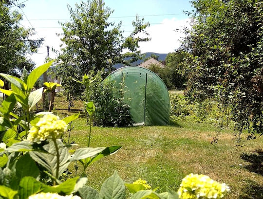 Garden Greenhouse Tunnel Type Metal Frame 300x800cm Green 24sqm