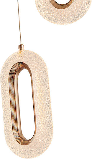Eurolamp Κρεμαστό Φωτιστικό Ροζ Χρυσό 31x130x130εκ.